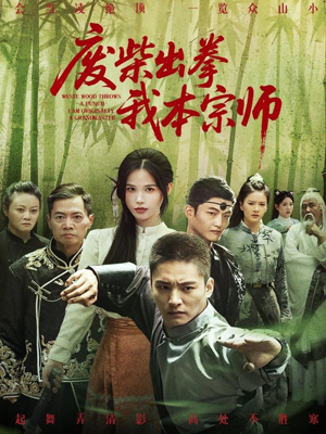 废柴出拳我本宗师（61集）热门短剧来袭