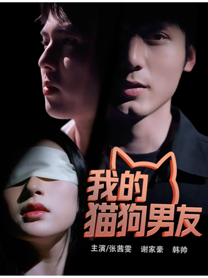 我的猫狗男友（53集）在哪看免费