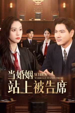 当婚姻站上被告席（30集）短剧有好货推荐