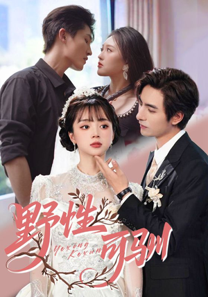 野性可驯（63集）热播短剧排行榜