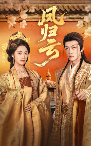 凤归云（60集）全集一网打尽