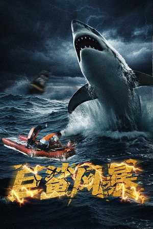 巨鲨风暴（59集）精彩短剧来了