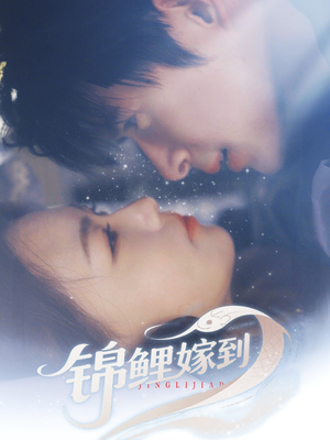 锦鲤嫁到（67集）一个短剧看全集