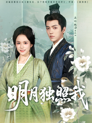 明月独照我（80集）好看的短剧电影