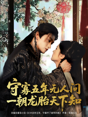 守寡五年无人问一朝龙胎天下知（83集）短剧精彩推荐