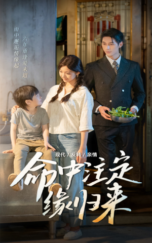 命中注定缘归来（63集）短剧全集免费