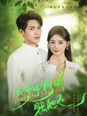 明月何时照他还（73集）海量短剧免费看