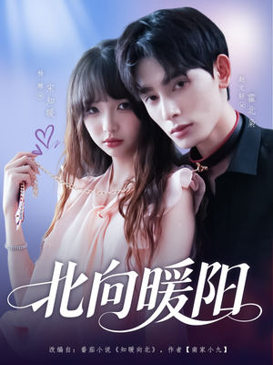 北向暖阳（80集）免费观看