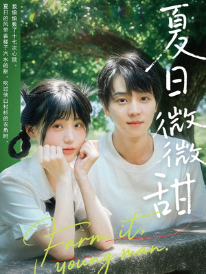 夏日微微甜（79集）太好看了短剧