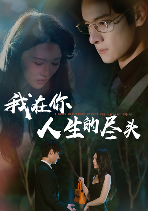 我在你人生的尽头（60集）在线看免费版
