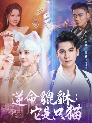 逆命貔貅它是只猫（35集）爱上了这部剧了