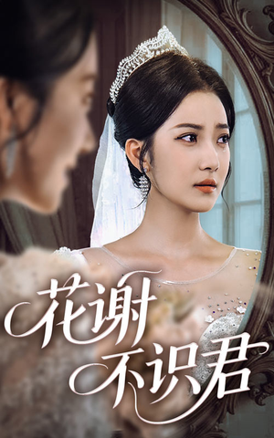 花谢不识君（40集）全集