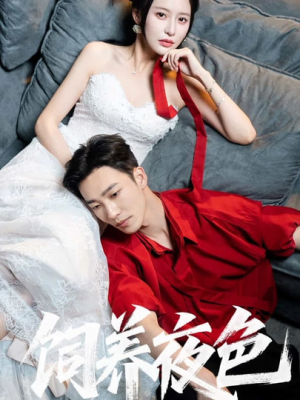 饲养夜色（86集）免费短剧推荐