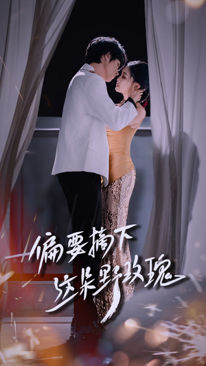 偏要摘下这朵野玫瑰（60集）80到100集