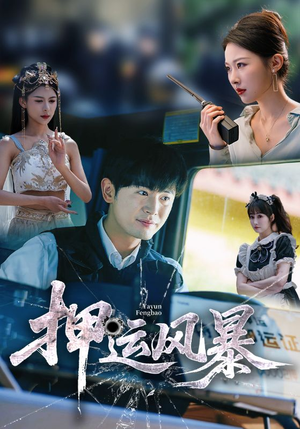 押运风暴（56集）免费看全集