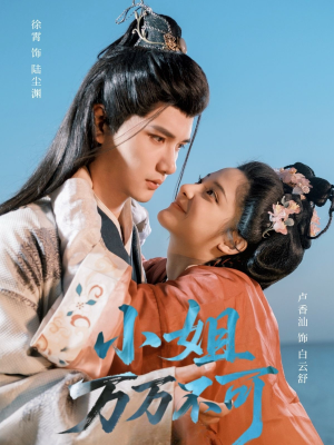 小姐万万不可(74集) 小姐万万不可(74集)热门短剧抢先看