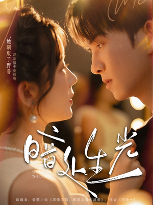 暗处生光(82集) 暗处生光(82集)全集下载