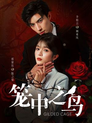 笼中之鸟(70集) 笼中之鸟(70集)在线看完整版