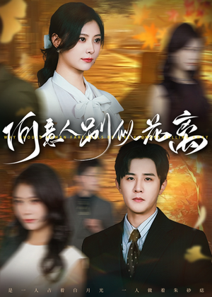 何意人别似花离（61集）超好看的短剧
