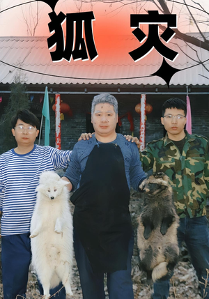 狐灾（25集）全集