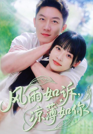 风雨如诉凉薄如你（70集）追短剧看全集