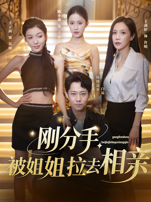 刚分手被姐姐拉去相亲（73集）精彩短剧分享