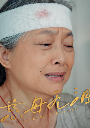 慈母无泪（30集）短剧在线更新