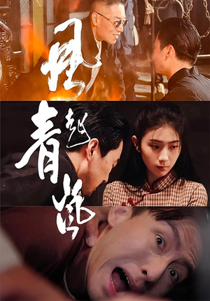 风起青岚（96集）火爆短剧推荐