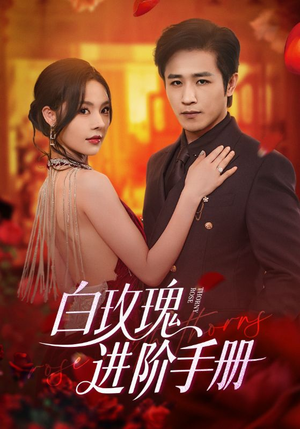 白玫瑰进阶手册（64集）精彩短剧片段