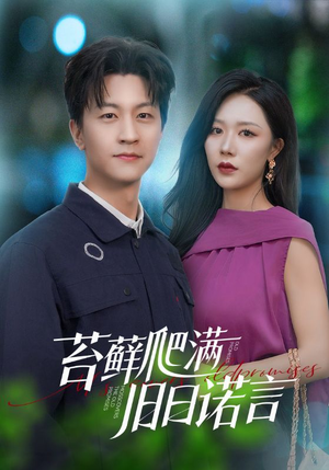 情途难负（83集）短剧抢先看全集