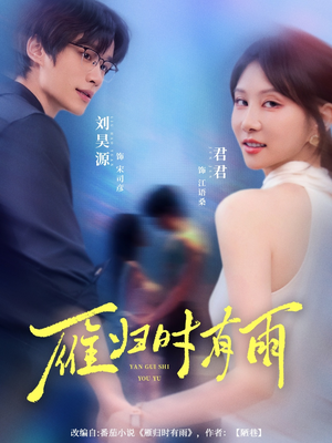 雁归时有雨（84集）精彩短剧后续