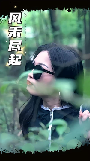 风禾尽起（31集）网络小短剧