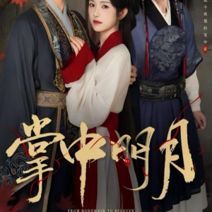 掌中明月（60集）热播短剧追不停