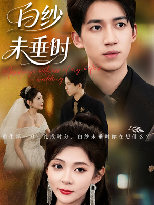 老婆婚礼，我当证婚人（54集）夸克在线观看