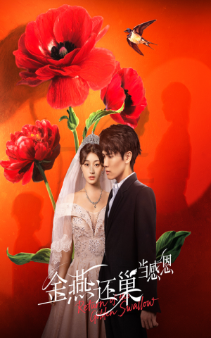 金燕还巢当感恩（55集）免费观看全集