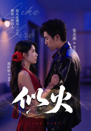 似火(80集) 似火(80集)精彩好看的短剧