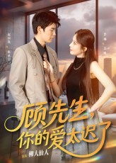 顾先生你的爱太迟了（60集）亿万短剧抢先看