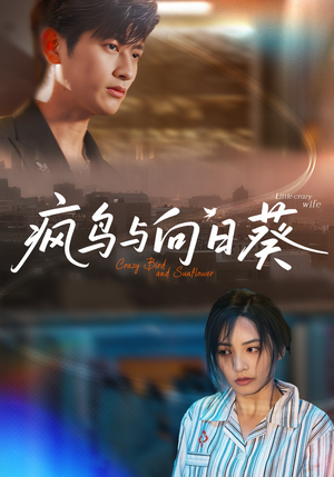 疯鸟与向日葵(40集) 疯鸟与向日葵(40集)这部短剧我爱了