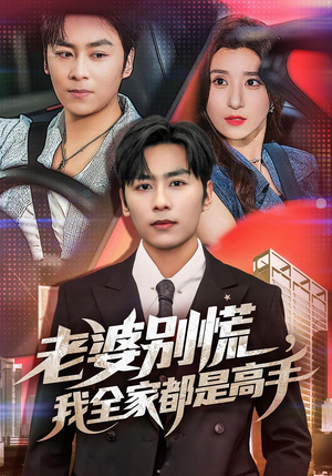 婆别慌我全家都是高手（58集）精彩短剧上线