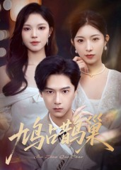 鸠占鹊巢&顶流夫人的致命陷阱（70集）第一季