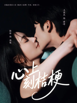 心上刻桔梗（90集）精彩好看的短剧