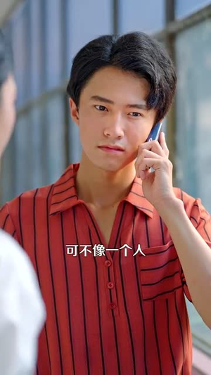 重返2000 (88集) 在线免费观影