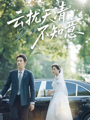 云扰天清不知意(60集) 云扰天清不知意(60集)演的怎么样