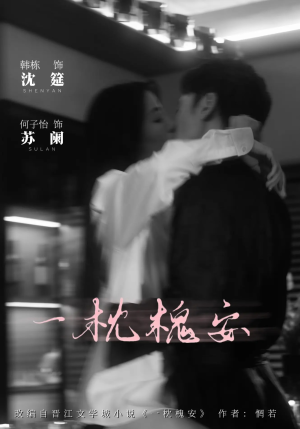 一枕槐安（80集）民国短剧推荐