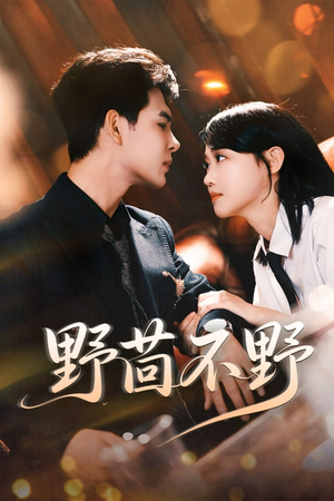 野茴不野(67集) 野茴不野(67集)全集免费观看