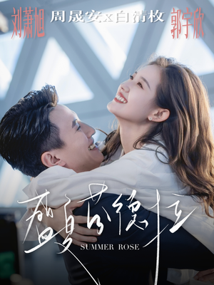 盛夏芬德拉（82集）热播短剧免费看