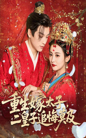 重生嫁太子二皇子追悔莫及(54集) 重生嫁太子二皇子追悔莫及(54集)熬夜追短剧