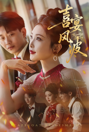 喜宴风波&替罪伴娘（30集）短剧在哪个平台