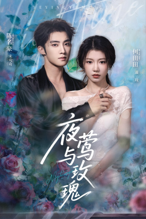 夜莺与玫瑰（66集）精彩短剧分享。