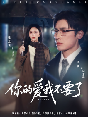 你的爱我不要了（64集）UC网盘在线看